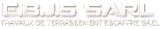 logo mini
